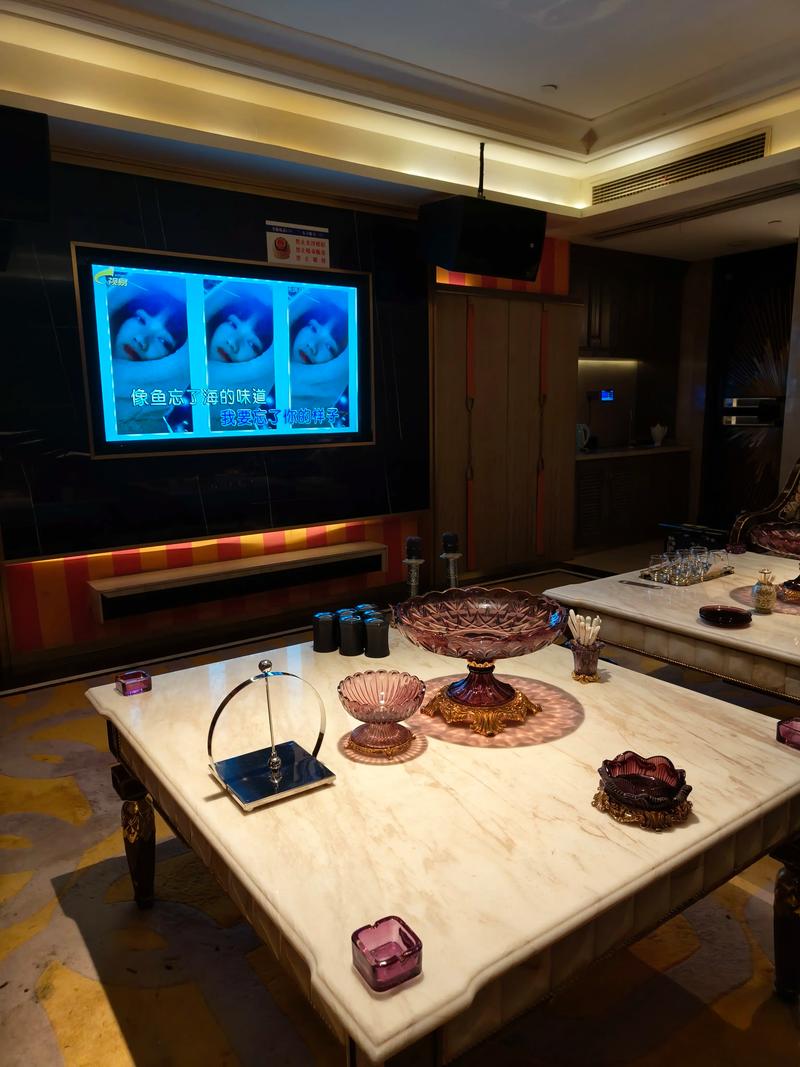 七台河商务ktv探索新模式-勃利县ktv预订